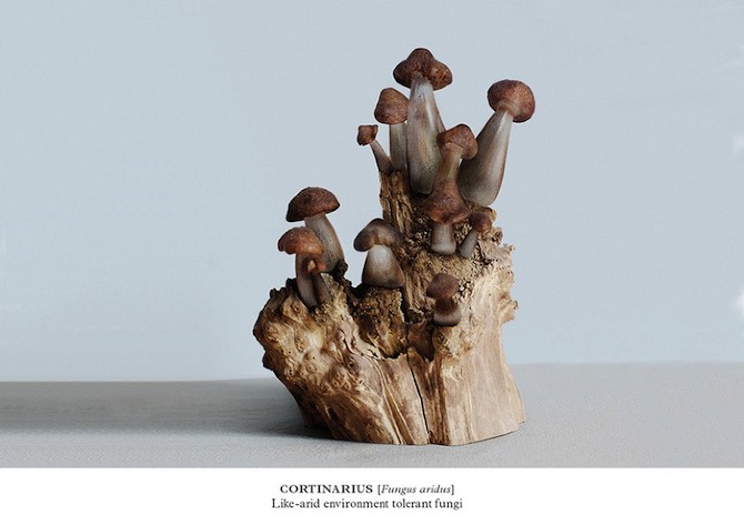 Post Natural History by Vincent Fournier in THISISPAPER MAGAZINE Post Natural History by Vincent Fournier in THISISPAPER MAGAZINE