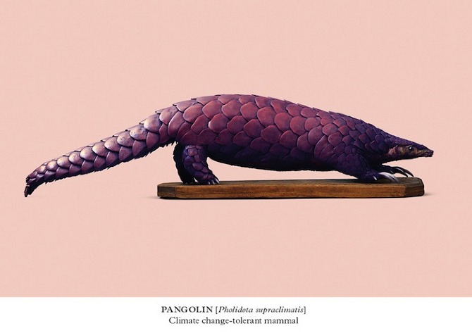 Post Natural History by Vincent Fournier in THISISPAPER MAGAZINE Post Natural History by Vincent Fournier in THISISPAPER MAGAZINE