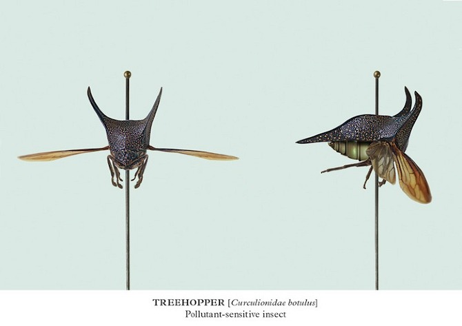 Post Natural History by Vincent Fournier in THISISPAPER MAGAZINE Post Natural History by Vincent Fournier in THISISPAPER MAGAZINE